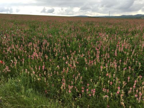 Caussenarde-2016-d-0037