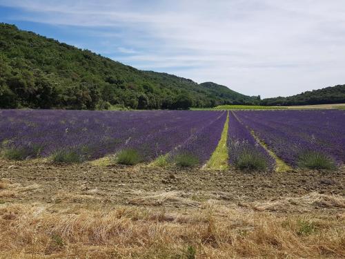 Portes de Provence 2018