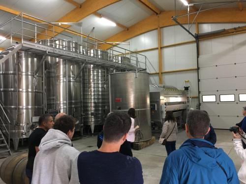 PenteEtCote Bourgueil 2019-06-09 004