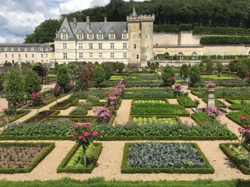 PenteEtCote Bourgueil 2019-06-09 041