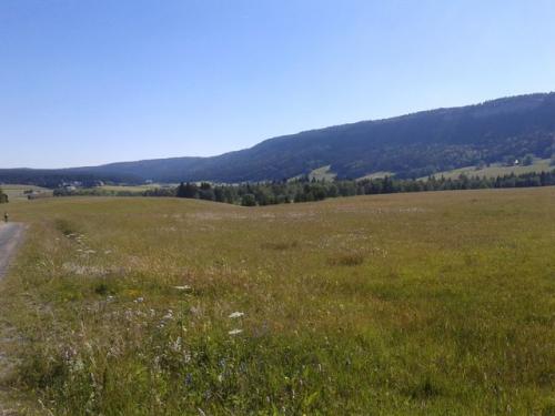 Tramjurassienne15 224