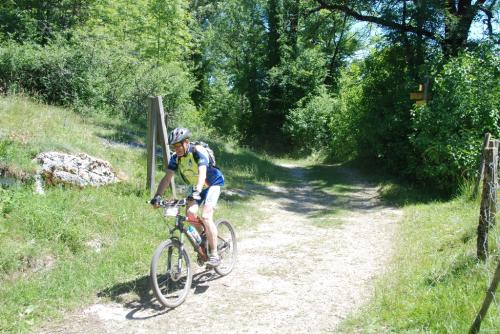 Tramjurassienne15 250