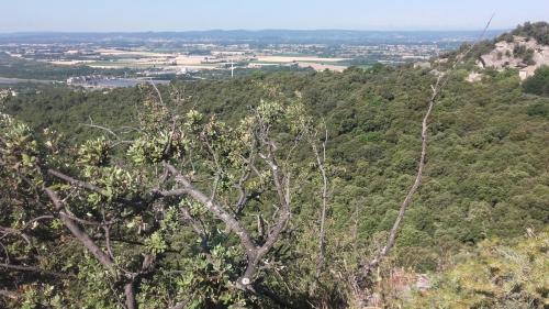 PortesProvence16 005