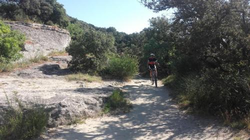 PortesProvence16 008