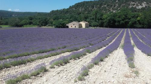 PortesProvence16 011