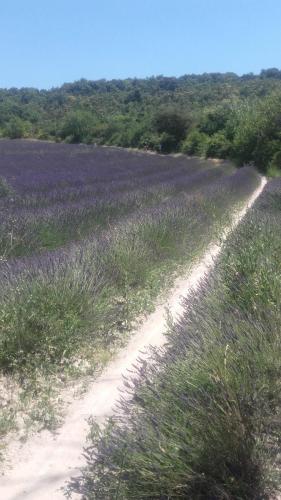 PortesProvence16 012