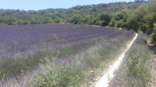 PortesProvence16 013