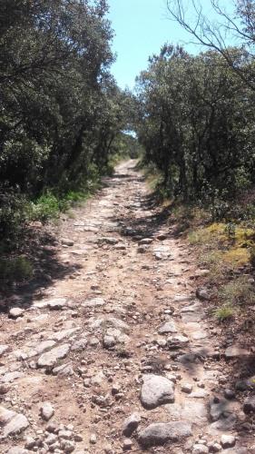 PortesProvence16 025