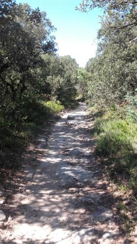 PortesProvence16 026