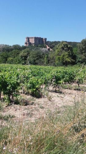 PortesProvence16 027