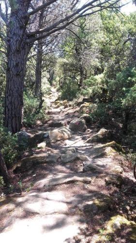 PortesProvence16 032