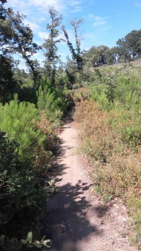 PortesProvence16 036