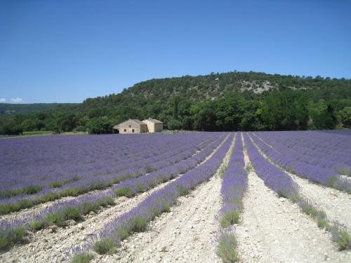 PortesProvence16 057