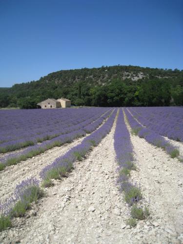 PortesProvence16 058