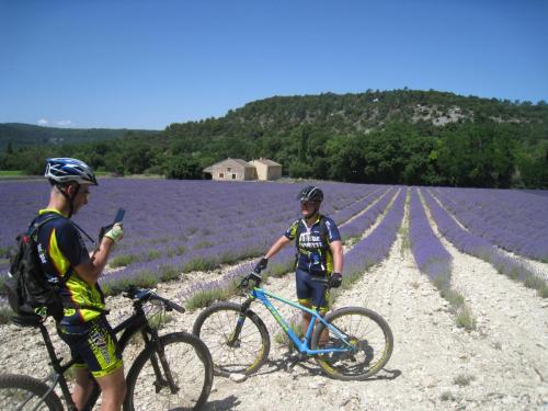 PortesProvence16 059