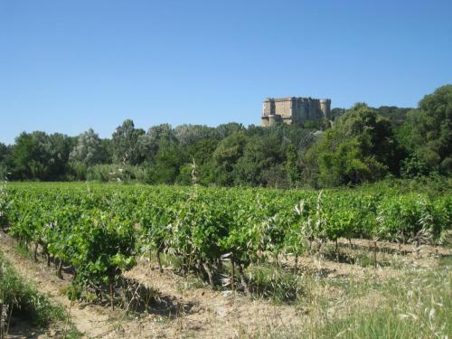 PortesProvence16 068