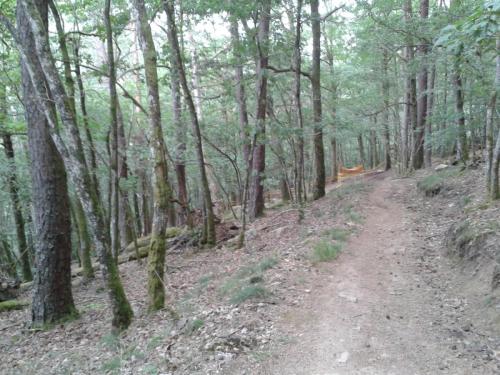 RideTheMorvan 2017-07-23-007