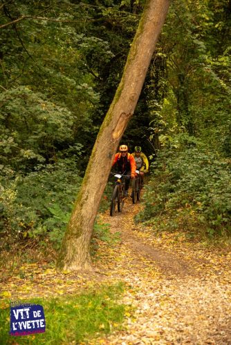 DE-LYVETTE-A-LORGE-25-563